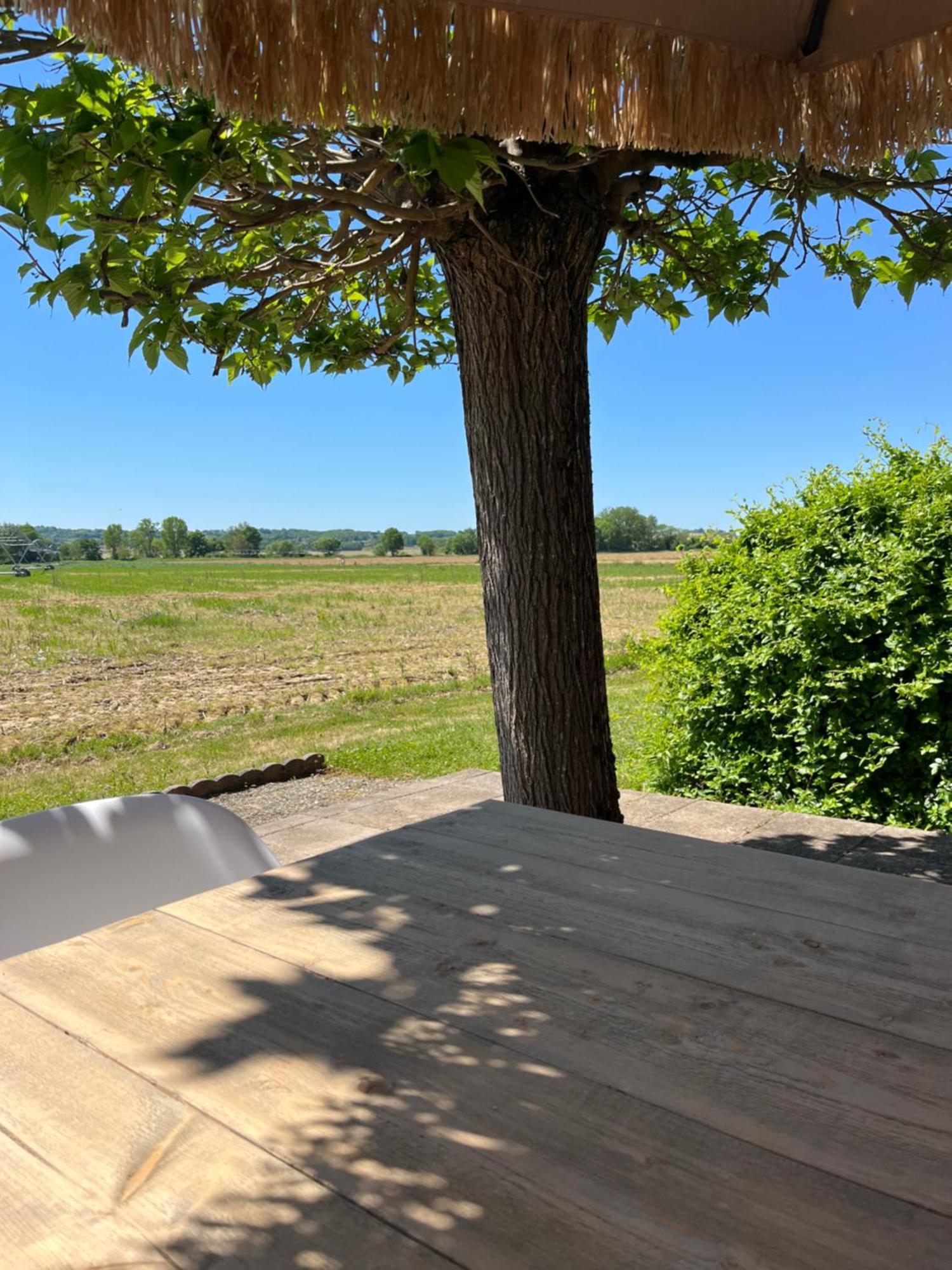 Gite 1, Domaine Logis Gascogne Saint-Justin  Bagian luar foto